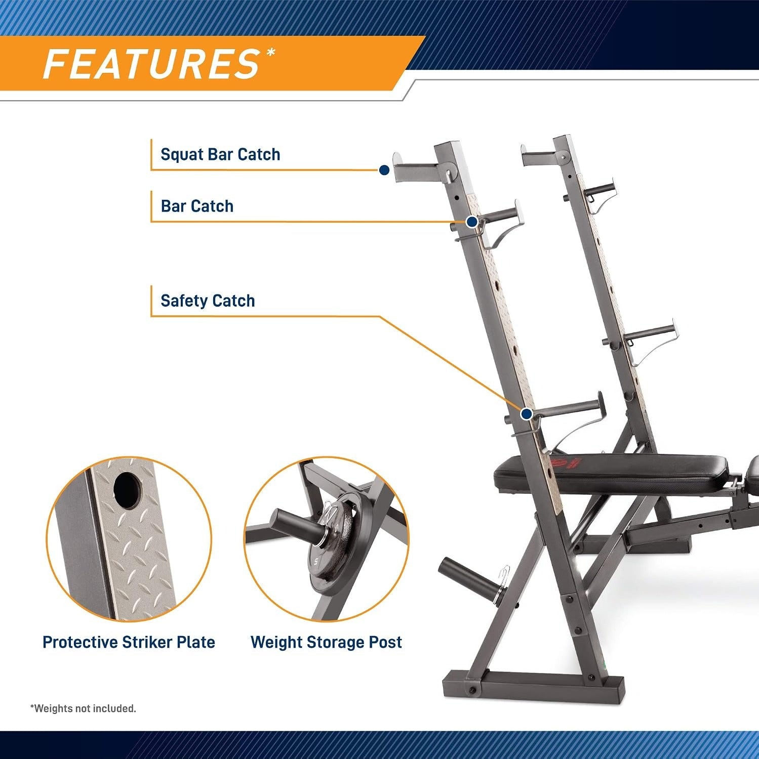Olympic Weight Bench With Preacher Curl Pad
