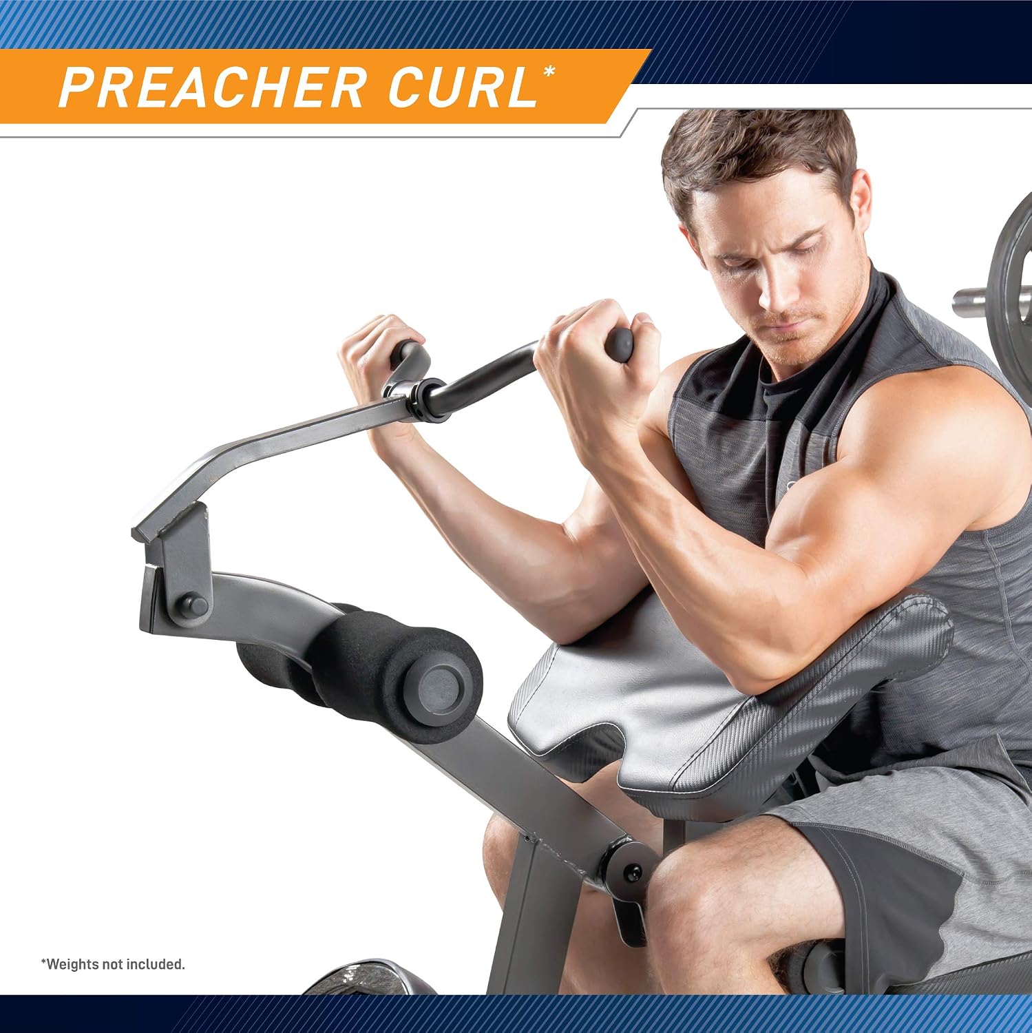 Olympic Weight Bench With Preacher Curl Pad